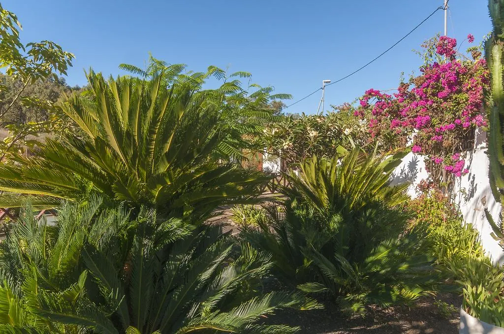 Los Bermejales Holiday home Firgas